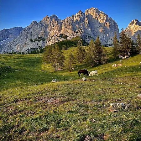 Tuerlwand Ramsau am Dachstein